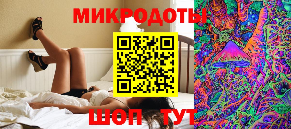 Галлюциногенные грибы Psilocybe Корсаков