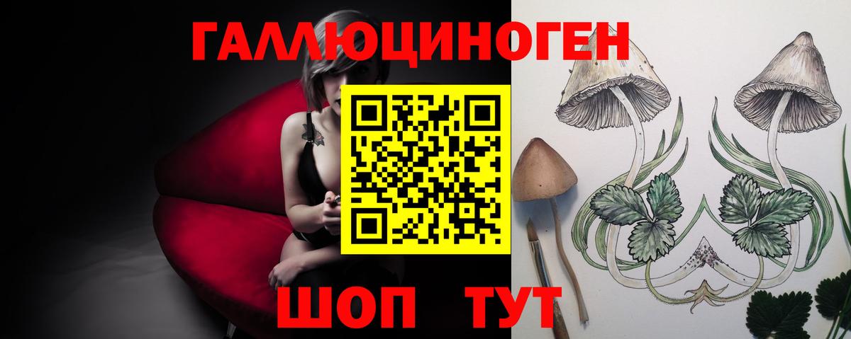 Галлюциногенные грибы Psilocybine cubensis  Вход с VPN  Корсаков  даркнет сайт  Псилоцибиновые грибы GOLDEN TEACHER 